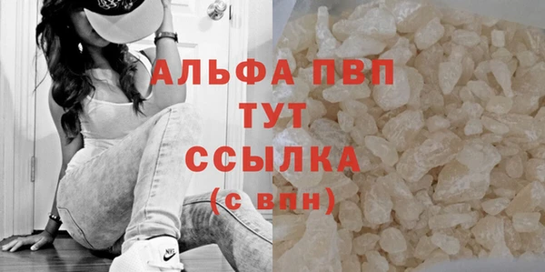 дживик Баксан