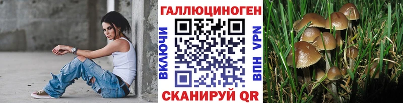 Псилоцибиновые грибы мицелий  Шумерля 